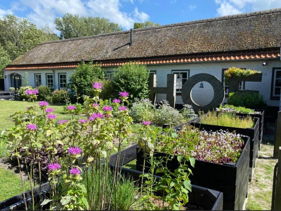 Villa Hof Aan Zee Dishoek Exterior foto